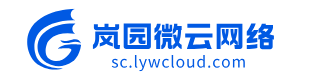 岚园微云网络